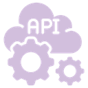 API Icon